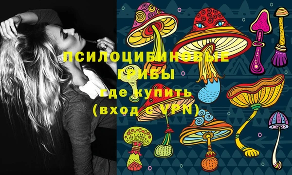 метадон Приозерск