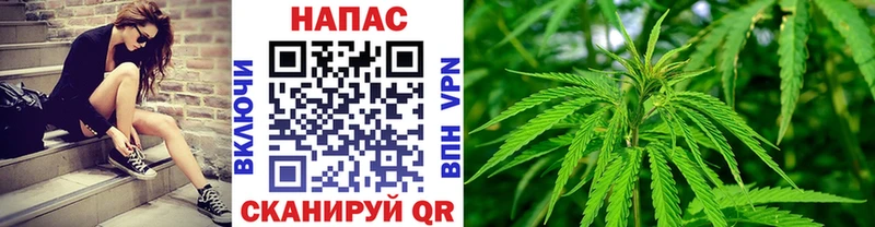 Бошки Шишки ГИДРОПОН Берёзовский
